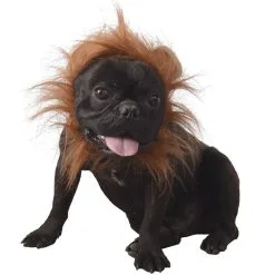 Party Fiesta Hundekostüm Löwe