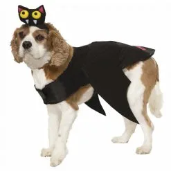 Party Fiesta Kostüm Fledermaus