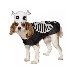 Party Fiesta Kostüm Kürbis Haustier