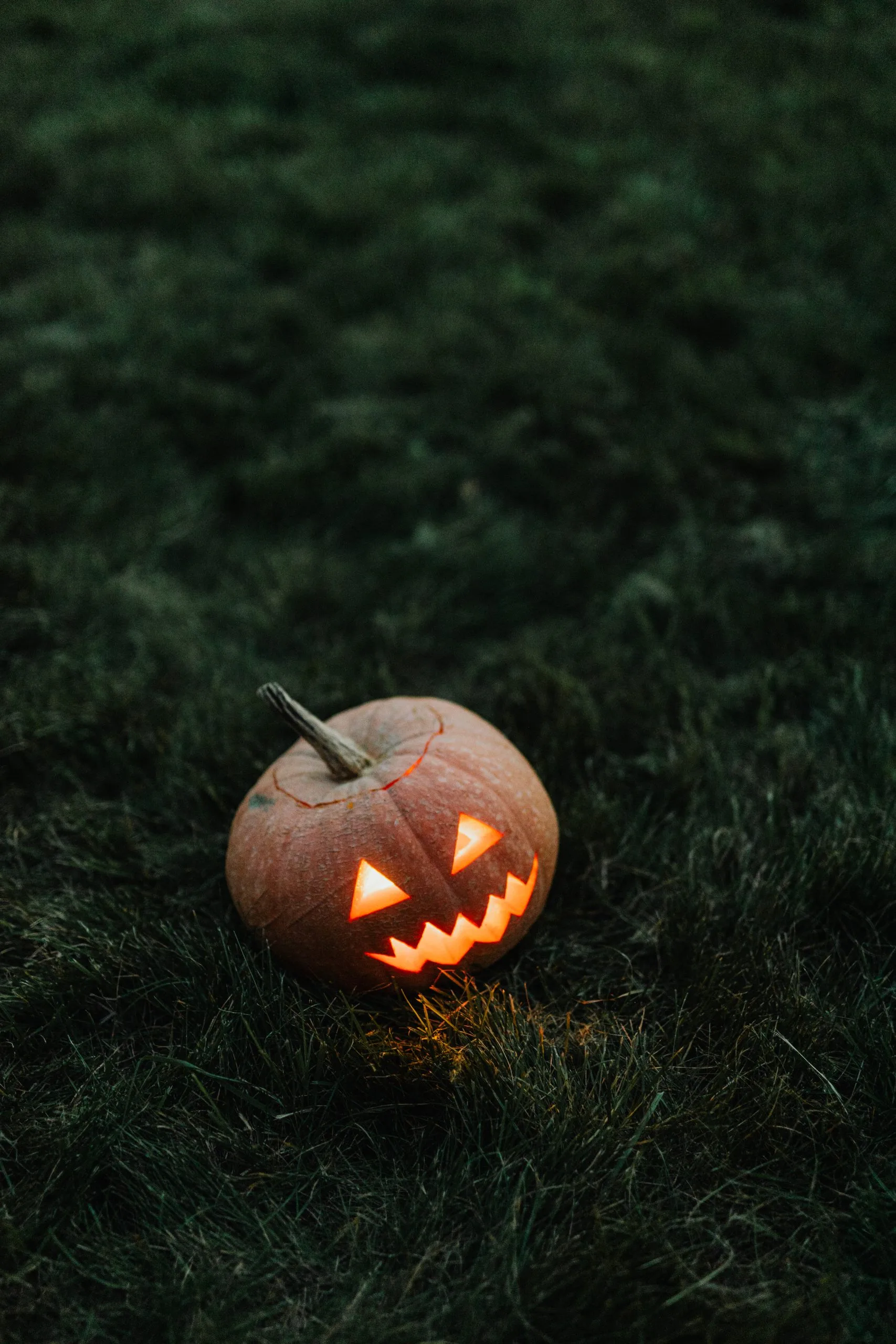Horrorkostüme – Halloween Verkäufe -Horrorkostüme – Halloween Verkäufe pexels photo 5422694 scaled