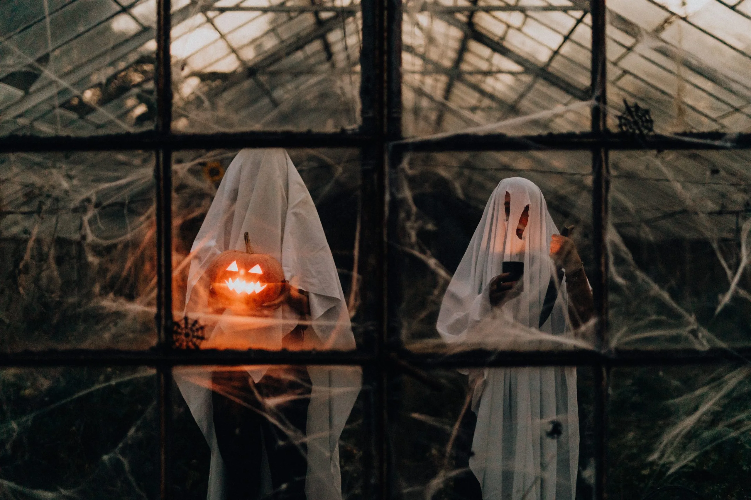 Horrorkostüme – Halloween Verkäufe -Horrorkostüme – Halloween Verkäufe pexels photo 5422695 scaled